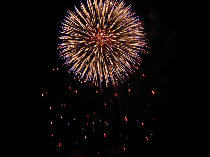 make sure JavaScript/ActiveX are enabled