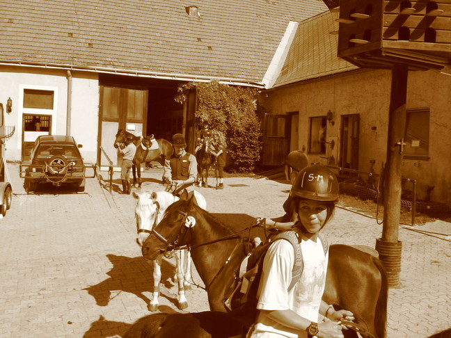 make sure JavaScript/ActiveX are enabled