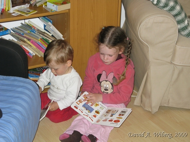 make sure JavaScript/ActiveX are enabled