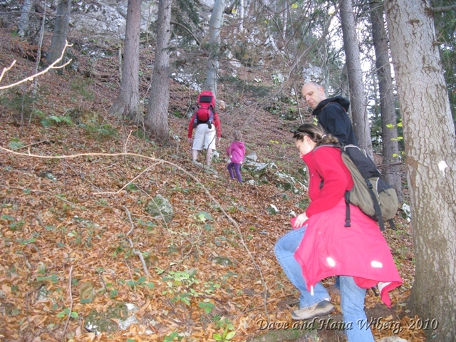 make sure JavaScript/ActiveX are enabled