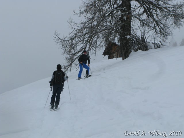 make sure JavaScript/ActiveX are enabled