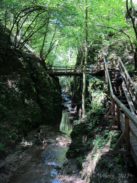 make sure JavaScript/ActiveX are enabled