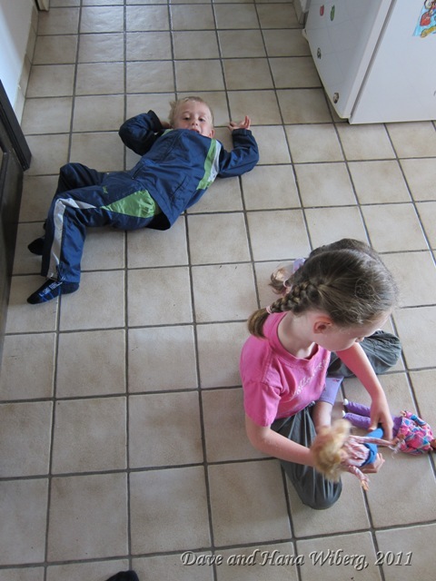 make sure JavaScript/ActiveX are enabled