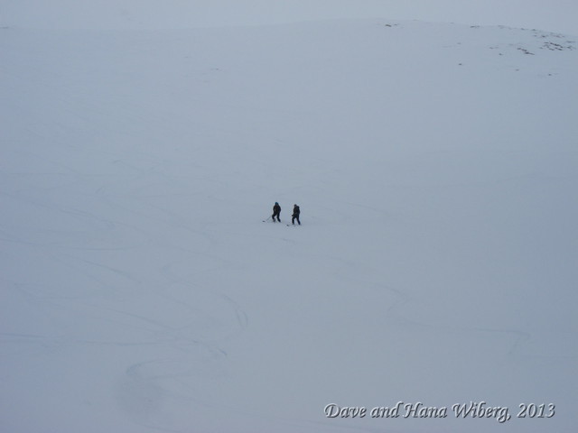 make sure JavaScript/ActiveX are enabled