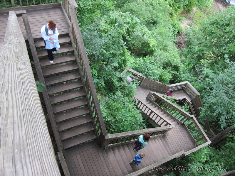 make sure JavaScript/ActiveX are enabled