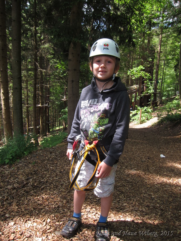 make sure JavaScript/ActiveX are enabled