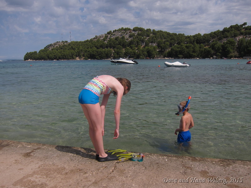 make sure JavaScript/ActiveX are enabled