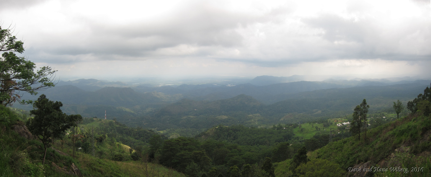 make sure JavaScript/ActiveX are enabled