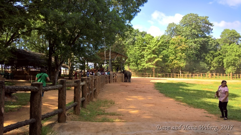 make sure JavaScript/ActiveX are enabled