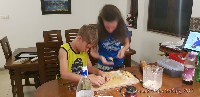 make sure JavaScript/ActiveX are enabled