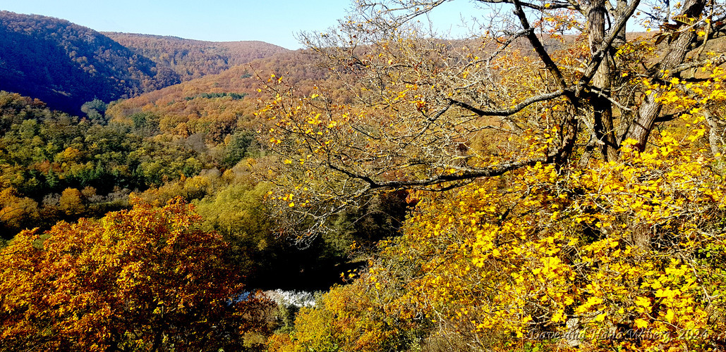 make sure JavaScript/ActiveX are enabled