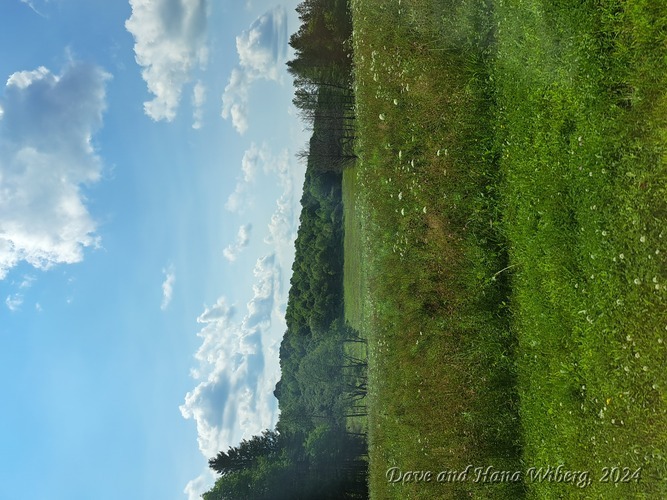 make sure JavaScript/ActiveX are enabled