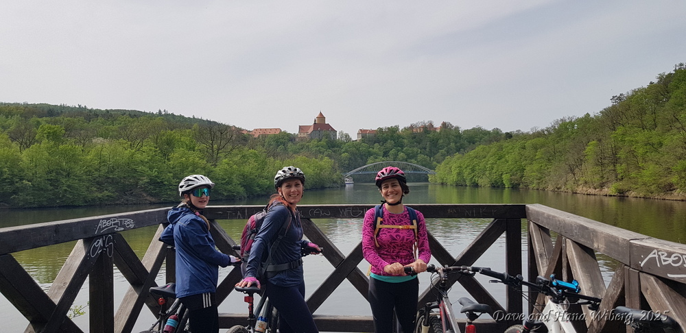 make sure JavaScript/ActiveX are enabled