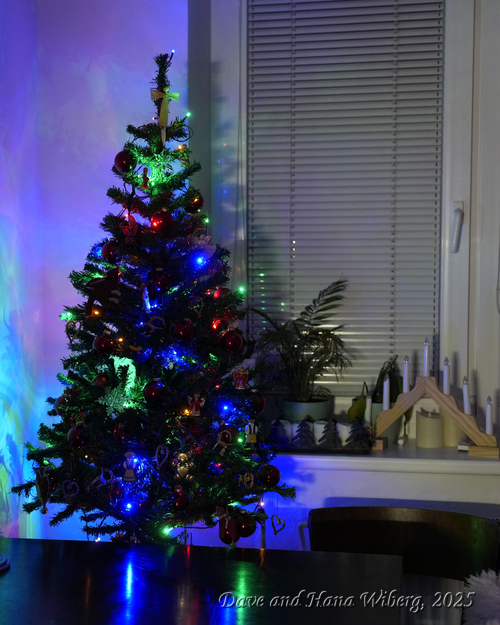 make sure JavaScript/ActiveX are enabled